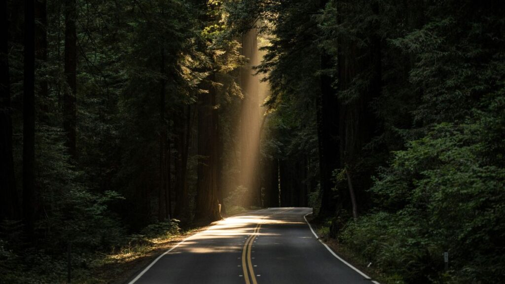 We can help you keep your Medicare premiums low