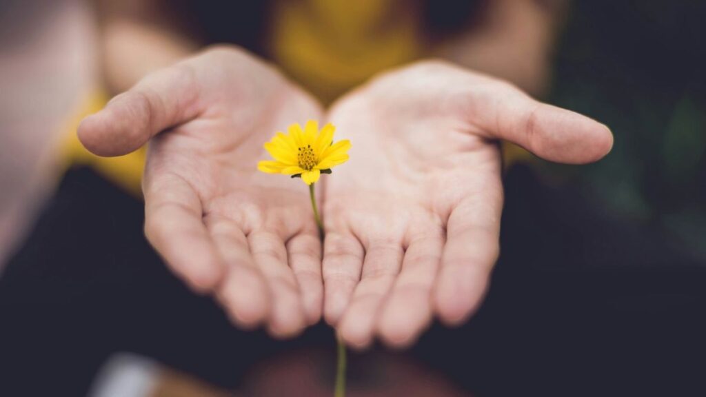 donor advised fund charitable giving strategy