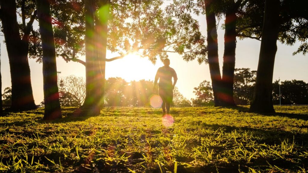 retiree charitable giving and RMD planning